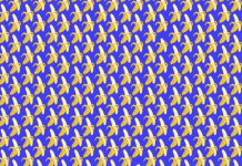 Você tem visão de falcão? Localize as 2 bananas mordidas na imagem deste novo desafio viral .