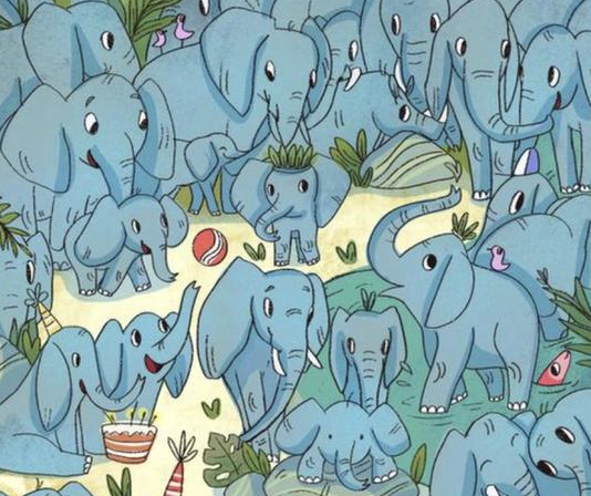 Desafio viral de apenas 5 segundos: localize o rinoceronte escondido entre os elefantes.