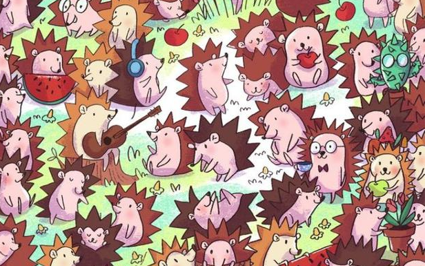 Desafio viral: Localize o cacto entre os porcos-espinhos em 10 segundos.