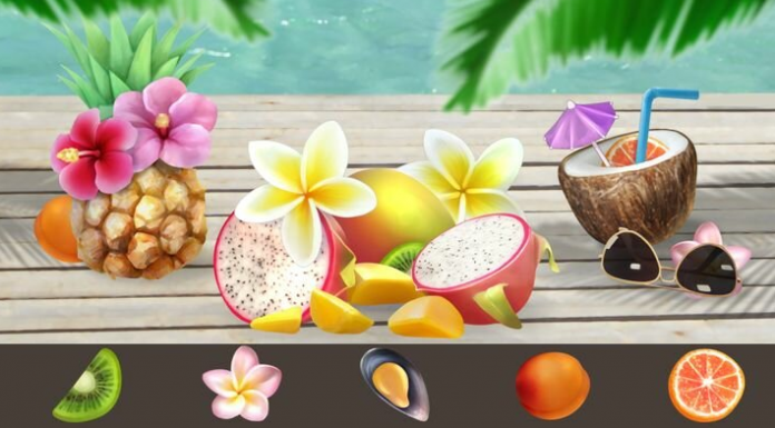 Teste seu senso de observação: Existem apenas cinco objetos e apenas quatro estão na foto. Total de 10 fotos! Encontre!