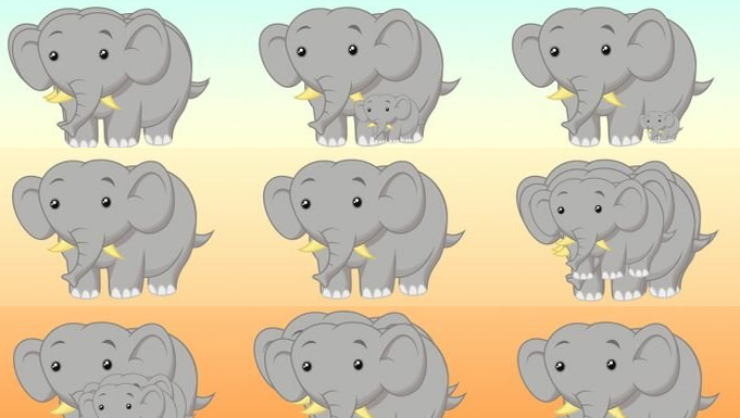 Teste: flexibilize suas habilidades de observação contando o número de animais. São treze ilustrações!