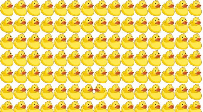 São dez imagens que tem elementos que romperam o protocolo: Encontre em menos de 10 segundos a figura que está voltada para outro lado.