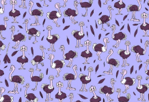 Teste: Descubra o quão observador você é, detectando as figuras escondidas nas 10 imagens