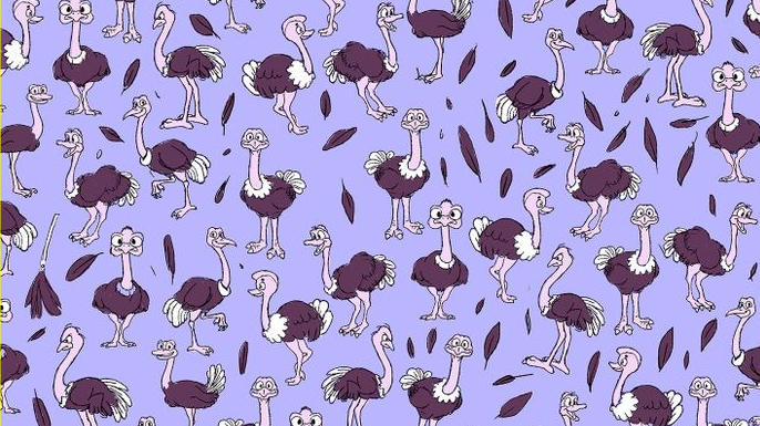 Teste: Descubra o quão observador você é, detectando as figuras escondidas nas 10 imagens