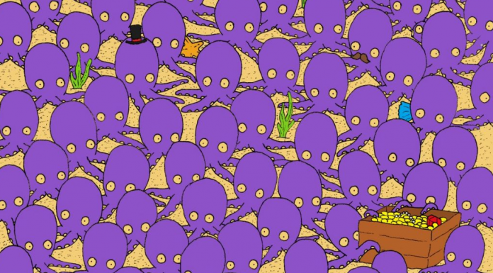 Desafio visual: encontre o peixe escondido entre os polvos