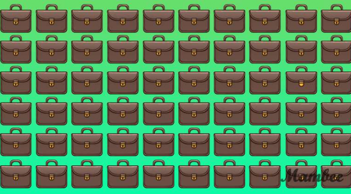 Um desses portfólios contém um erro de fábrica: o controle de qualidade pede ajuda para identificá-lo!🥰