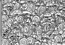 Desafio visual: você consegue encontrar o veículo escondido na imagem?