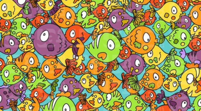 Onde está a galinha? esta imagem desafia você a encontrá-la em 10 segundos. Estás apto?