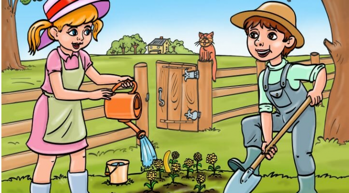 Quebra-cabeça: o autor cometeu um erro lógico nessas 11 imagens. Você pode encontrá-los?