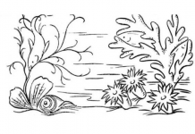 Teste: você consegue encontrar os 3 peixes escondidos na imagem?