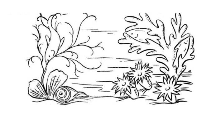 Teste: você consegue encontrar os 3 peixes escondidos na imagem?