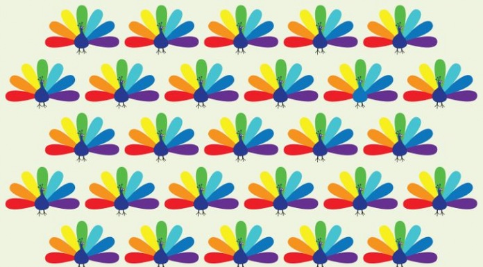 Desafio: Exercite seus olhos e mostre sua inteligência. Localize o objeto diferente dos demais nas 9 imagens!