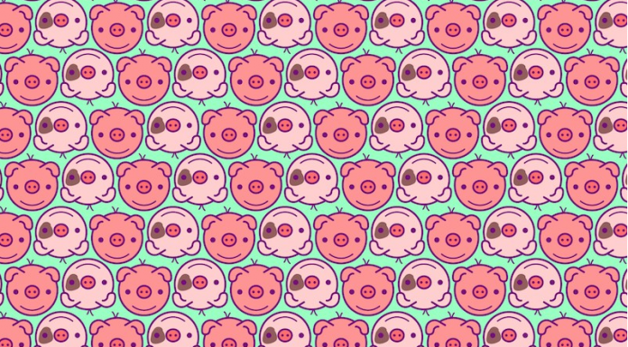 Desafio visual: Encontre os javalis entre os porquinhos.