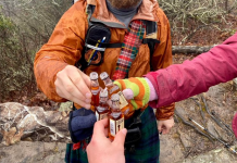 Teste: diga-me quantas mãos existem na imagem e eu direi se você é bom em observar.