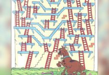 Desafio complicado! Ajude Scooby-Doo a chegar ao topo.