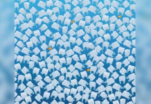 Teste de imagem: Nesse mar de plástico se esconde uma água-viva. Onde ela se esconde?😎