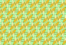 Desafio visual: Encontre as 2 bananas maduras escondidas na imagem.