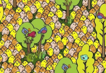 O incrível quebra-cabeça visual do ovo: você é capaz de encontrá-lo em apenas 15 segundos?
