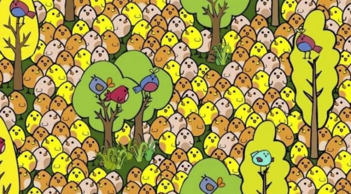 O incrível quebra-cabeça visual do ovo: você é capaz de encontrá-lo em apenas 15 segundos?
