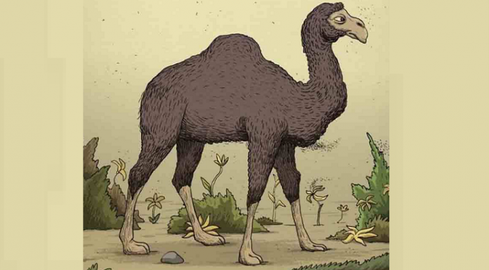 Teste: você pode ver o cavaleiro de camelo? apenas 1 em cada 4 vê.