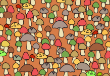 Teste visual: há um intruso entre os cogumelos, você é habilidoso o suficiente para encontrá-lo?