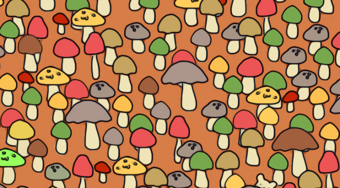 Teste visual: há um intruso entre os cogumelos, você é habilidoso o suficiente para encontrá-lo?