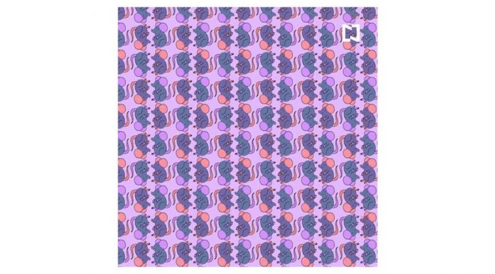 Desafio visual de nível de especialista: encontre os 2 ratos com óculos na imagem.