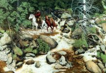 Muitos têm dificuldade em encontrar as 13 faces ocultas nesta imagem …E você?