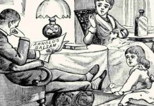 Você consegue encontrar 2 gatos escondidos na foto?