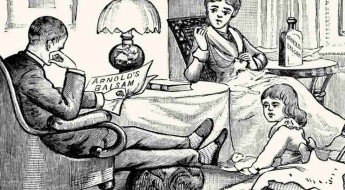 Você consegue encontrar 2 gatos escondidos na foto?