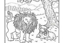 Teste da hora: Você consegue encontrar uma menina e sete lagartos nesta foto?