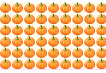 Como anda a sua observação? Você consegue encontrar a abóbora diferente na imagem ?