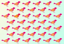 O incrível quebra-cabeça visual de diferentes pássaros que apenas 1 em cada 5 pessoas resolve. Encontre o “diferente”!