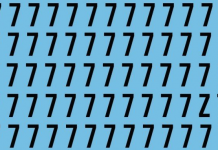 Teste sua visão: Encontre o “intruso” entre os números 7.