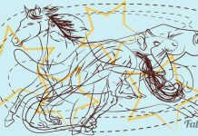 Dois enigmas incríveis para alegrar o seu dia! Quantos animais há na primeira imagem?