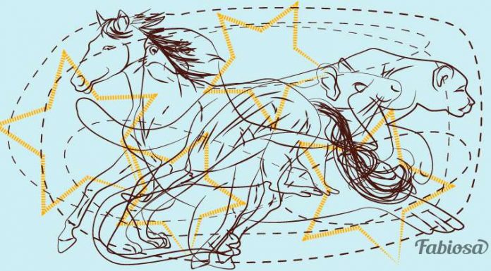 Dois enigmas incríveis para alegrar o seu dia! Quantos animais há na primeira imagem?