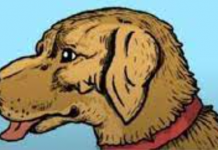 Ilusão de ótica: Dentro do cachorro também está seu dono: você consegue vê-lo em 10 segundos?