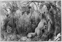 Encontre os animais e rostos escondidos neste quebra-cabeça de 144 anos.