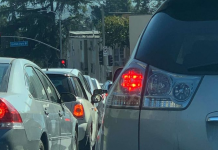 Temos 5 imagens para você encontrar 5 animais bem escondidos. Consegue? Encontre o cachorro na primeira imagem.