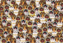 Se você encontrar um panda fofo na foto em 10s, então você é uma pessoa muito atenta.