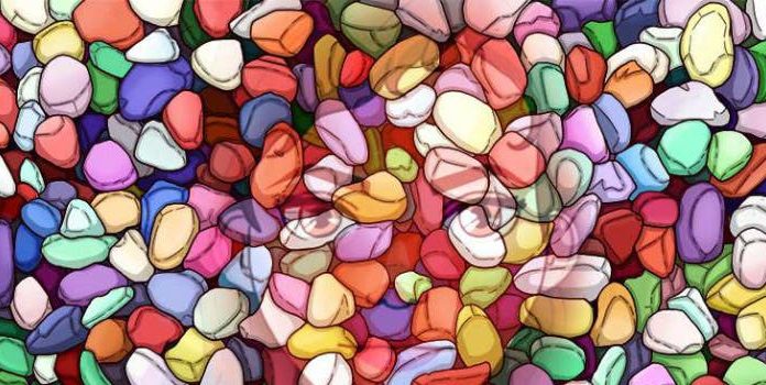 Hora de observar atentamente: Você pode encontrar a imagem escondida entre as pedras?