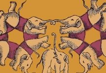 Ilusão de ótica: quantos elefantes você vê na imagem?