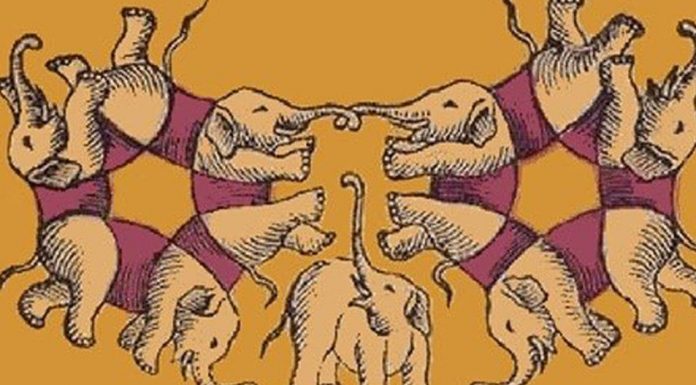 Ilusão de ótica: quantos elefantes você vê na imagem?