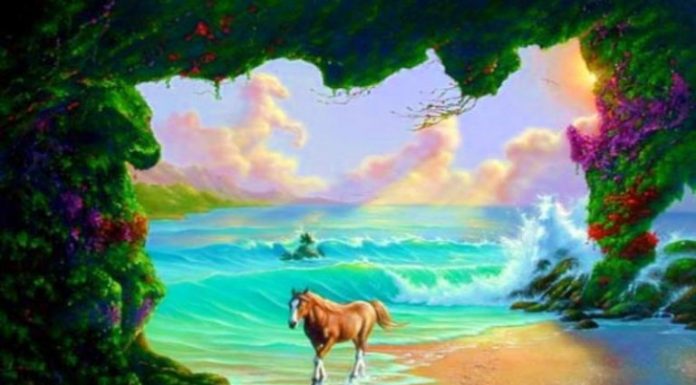 Apenas alguns poucos por cento das pessoas podem encontrar todos os cavalos escondidos na imagem.