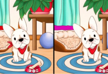 Ative a observação perspicaz: Encontre os 5 erros!