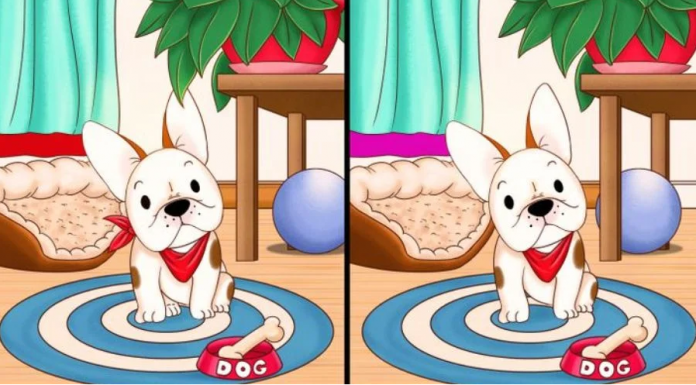 Ative a observação perspicaz: Encontre os 5 erros!