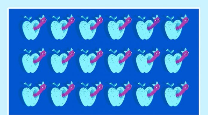 Desafio VIRAL: Encontre a minhoca diferente!