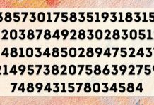 7 testes rápidos e divertidos que testarão sua visão: Encontre o nº 6 na primeira imagem.