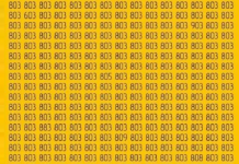 Desafio visual : encontre os diferentes números em apenas 15 segundos.