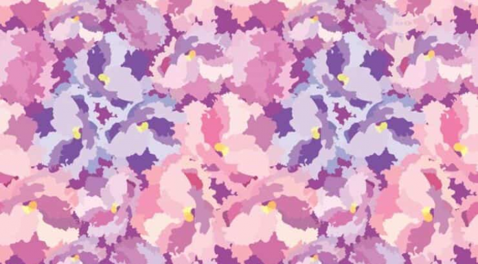 Encontrar o animal fofo camuflado na imagem é muito difícil. Experimente procurar!